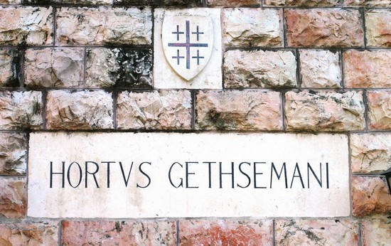 Ogród Oliwny - Gethsemane